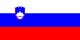 Slovenya bayrağı